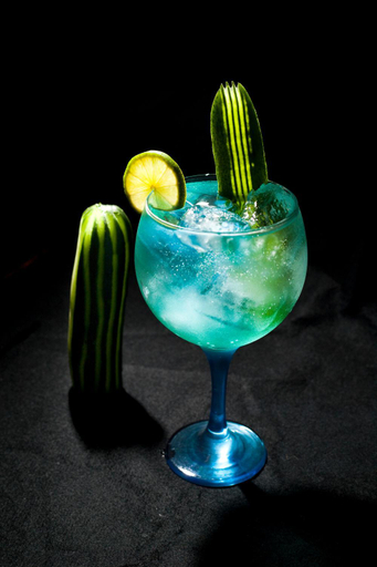 Food & Drinks 5, Hotel El Refugio 3 estrellas, Cantabria