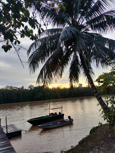 Others 5, Osman homestay’s, Kinabatangan
