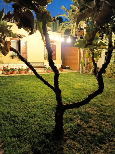 Others 5, Il grifo, Agrigento