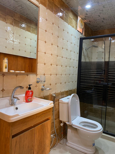 Bathroom 3, wadirumtours&camp, Aqaba