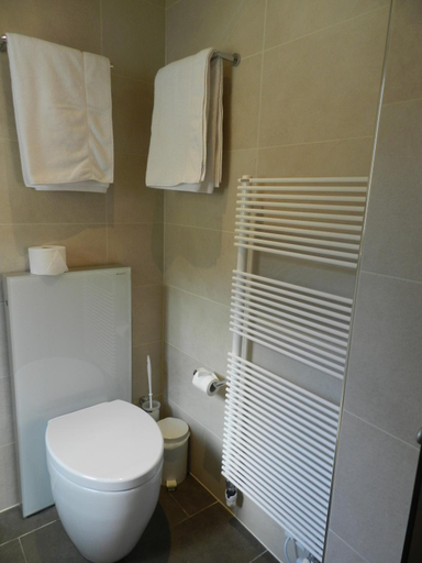 Bathroom 3, Hotel Alpina, Leuk