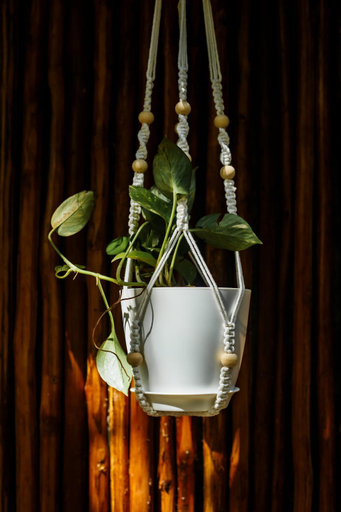 Food & Drinks 5, Eco.Bañitas, Cozumel