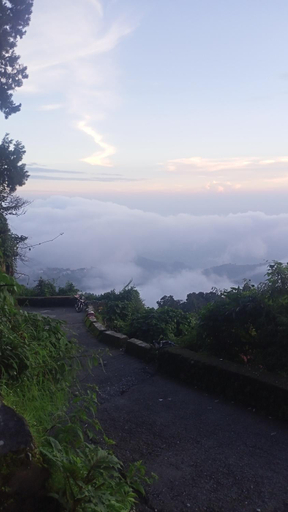 Others 5, The Pine Of Golden Home Stay, Dehradun