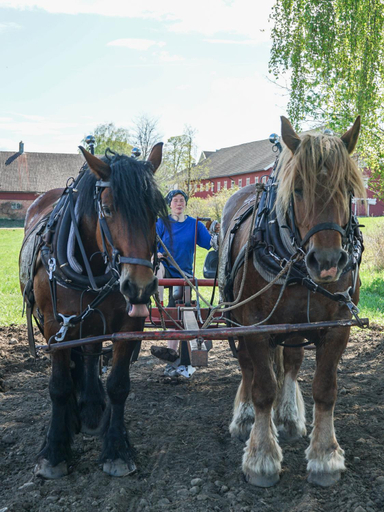 Others 4, Fokhol Gard Gjestehus, Stange