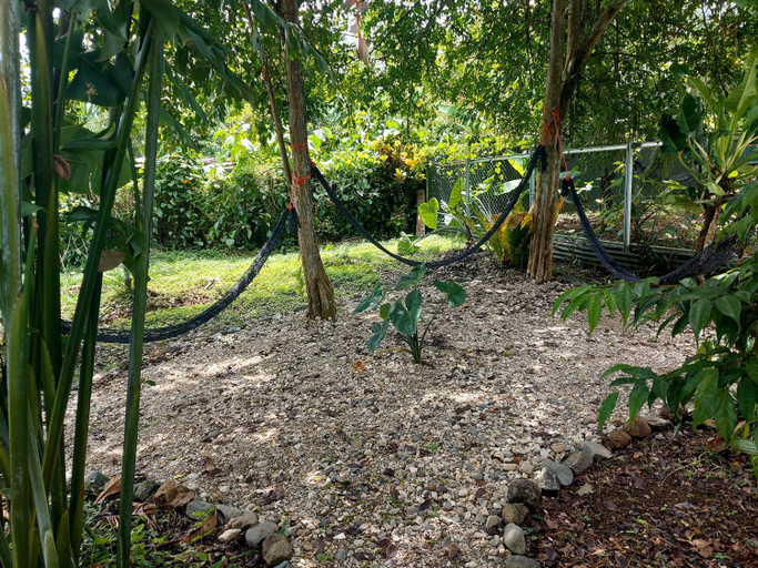 Others 4, Lodging Adventure La Gamba, Golfito