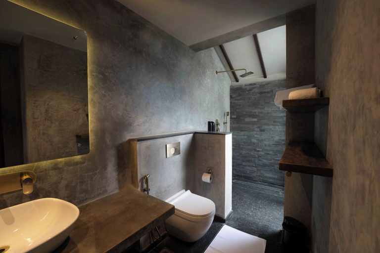 Bathroom 3, Wild Origin, Mysore