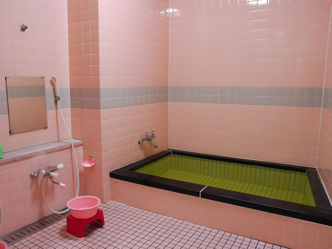 Bathroom 3, Masugatasou, Shibata