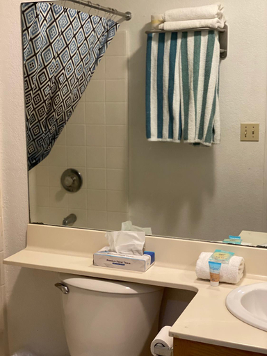 Bathroom 4, lodge on the river, Mohave