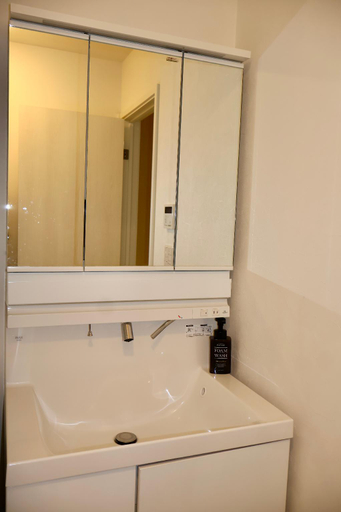 Bathroom 4, Peace House, Osaka