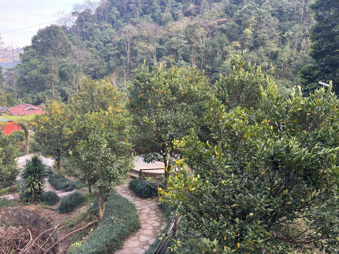 3, Odyssey Stays Rimbi, West Sikkim