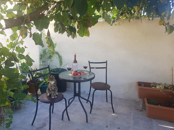 Others 5, Summer Garden, Tbilisi