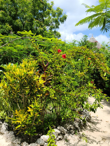 Others 5, The Dream Garden Bungalow, Kusini
