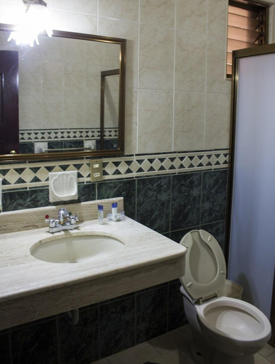 Bathroom 4, Feria Jalisciense, San Juan de los Lagos