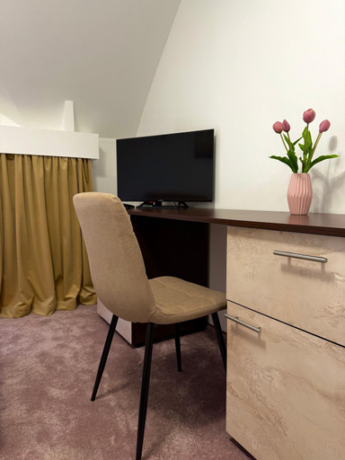 Others 4, Hotel Palace, Targu Jiu