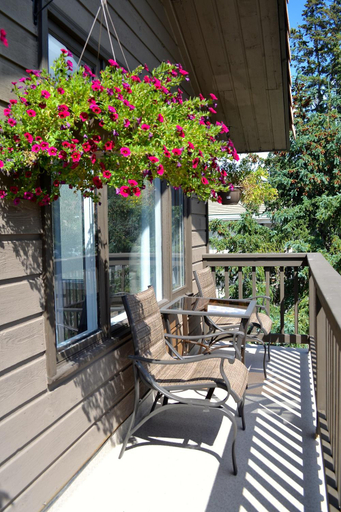 Others 4, A Good Nite's Rest Bed and breakfast, Division No. 15