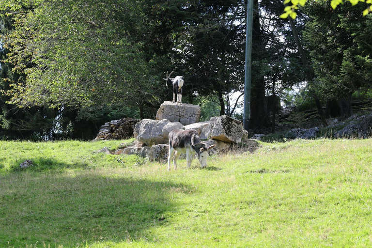 Others 5, la Cibourg, Centre de vacances, Courtelary