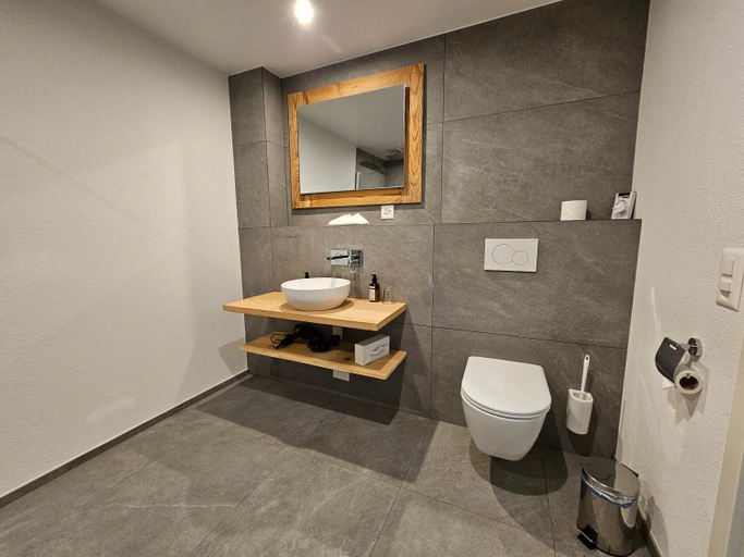 Bathroom 3, Typically Swiss Hotel Ermitage, Frutigen