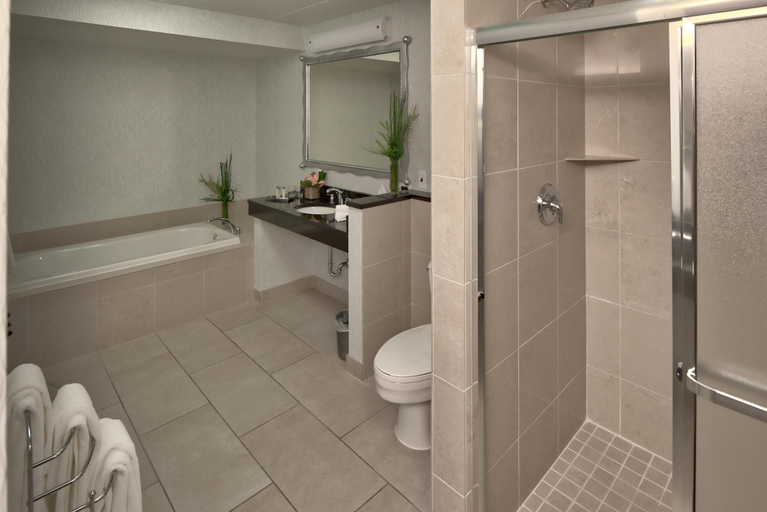 Bathroom 4, Somerset Inn, Oakland