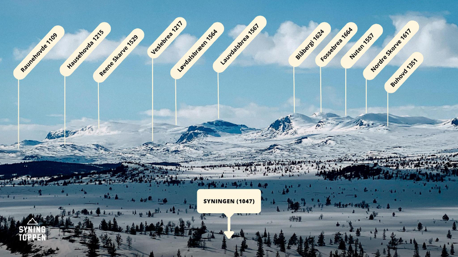 Others 5, Modern Mountain Cabin - 3 Bedrooms - Sleeps 7, Ål
