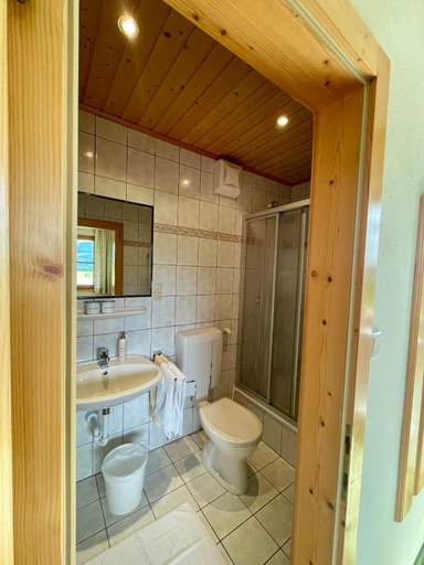Bathroom 3, Pension Moslehnerhof, Liezen