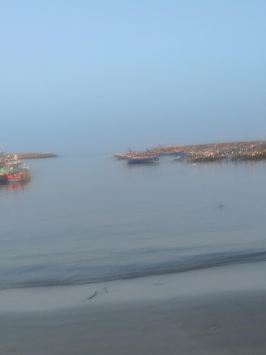 Others 4, Marari Beach Daze homestay, Alappuzha