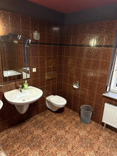 Bathroom 4, Large apartment for 3-10 people near Halle and Leipzig, Saalekreis