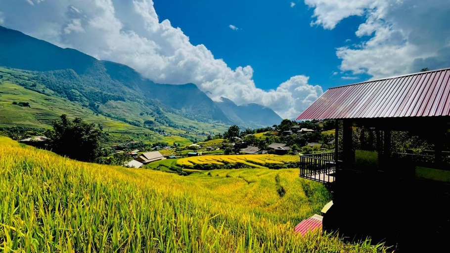 Others 3, Madame View Homestay, Sa Pa