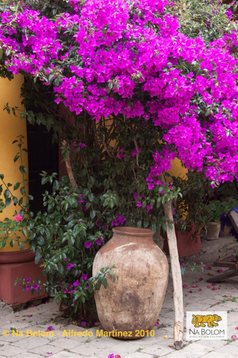 Public Area 3, Hotel Na Bolom, San Cristóbal de las Casas