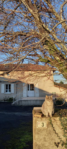 Others 5, La MESANGE BLEUE, Charente