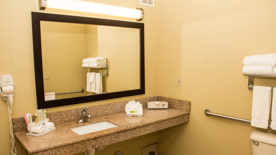 Holiday Inn Express & Suites SAGINAW - Tap to explore photos