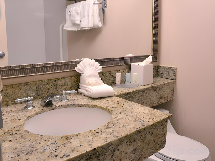 Bathroom 3, Regency Inn & Suites, New London