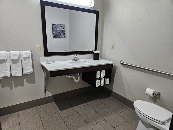 Bathroom 2, Comfort Inn & Suites, Rogers