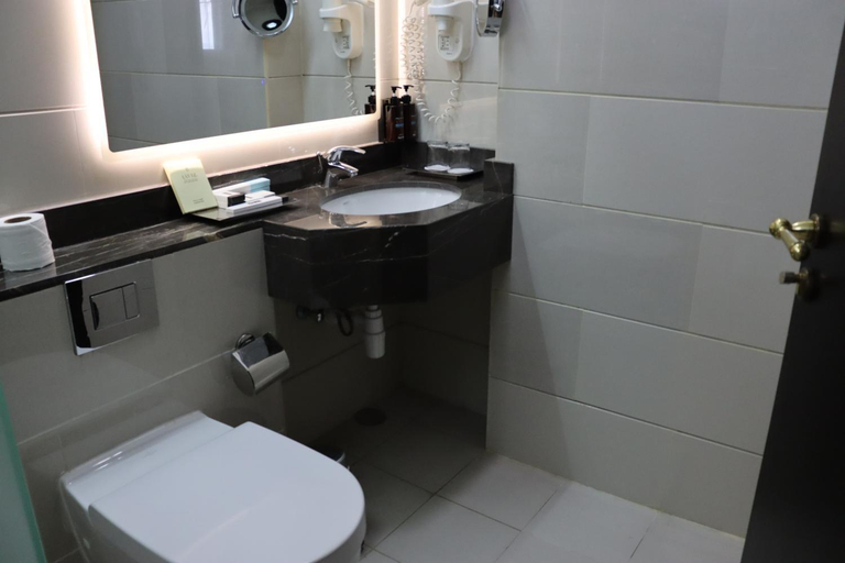 Bathroom 5, Raviz Center Point Hotel, Dubai