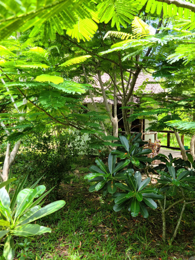 Others 4, The Dream Garden Bungalow, Kusini