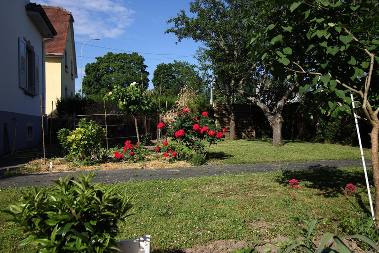 Others 5, Le Jardin du Louison - 2P - 70m2 - Jardin et parking pres Parlement, Bas-Rhin