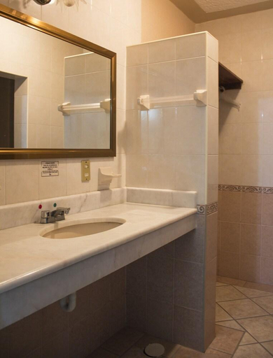 Bathroom, Feria Jalisciense, San Juan de los Lagos