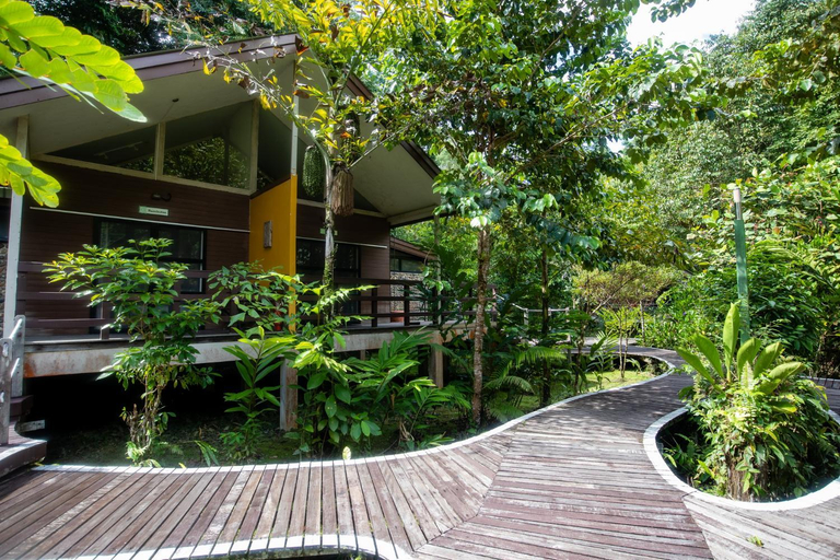 Exterior & Views 1, Mulu National Park, Marudi