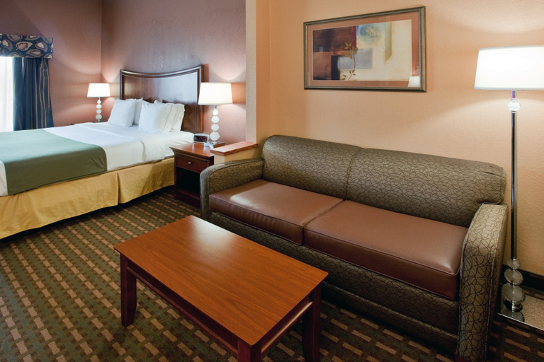 Holiday Inn Express & Suites SUFFOLK by IHG Room Type - 1 King Bed Standard