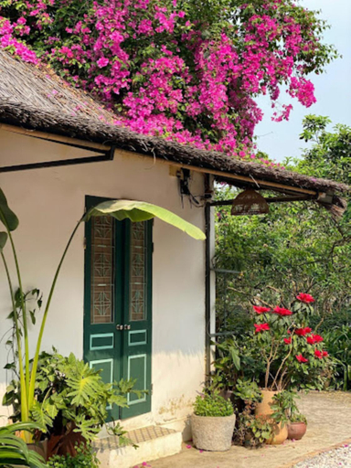 Others 2, Giang House, Lương Sơn