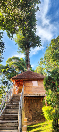 Exterior & Views 2, Agandi Uganda Eco-lodge, Rubanda