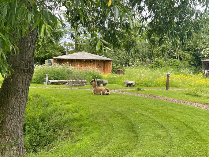 Others 4, Acorn Glade Glamping York, East Riding of Yorkshire