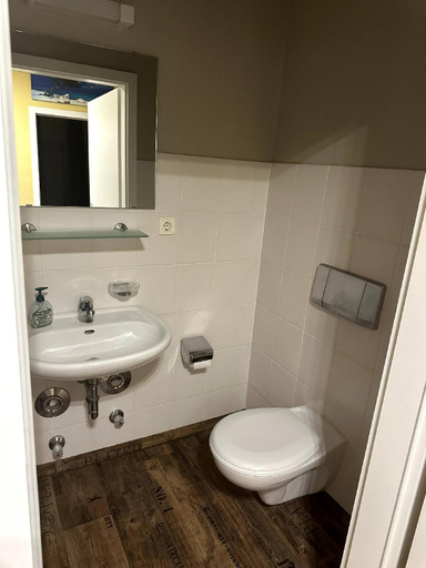 Bathroom 2, Large apartment for 3-10 people near Halle and Leipzig, Saalekreis