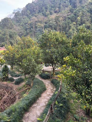 5, Odyssey Stays Rimbi, West Sikkim