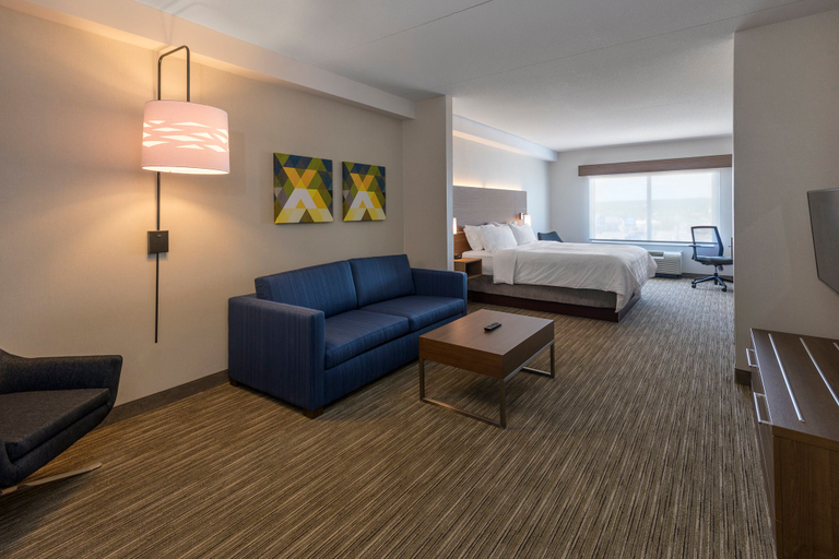 Holiday Inn Express & Suites North Bay by IHG Room Type - King Suite with Sofabed