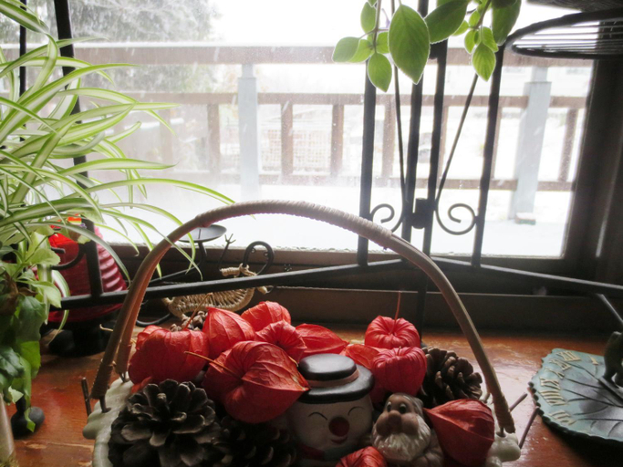 Food & Drinks 5, Pension Noah, Minamiuonuma