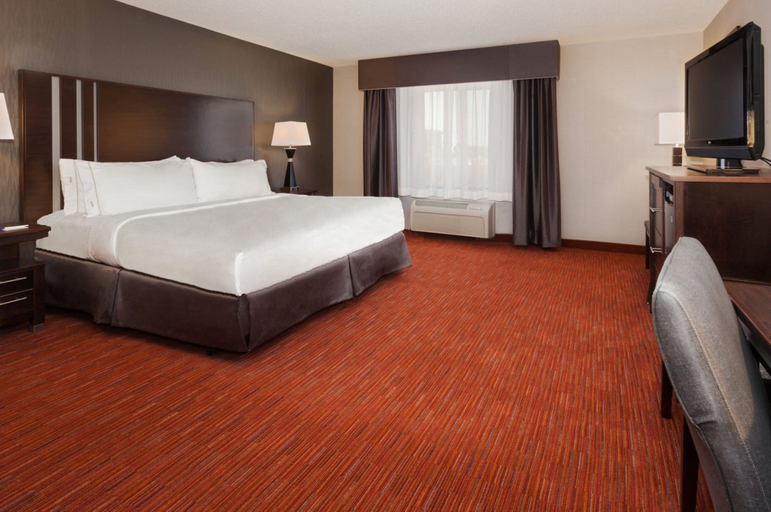 Bedroom, Holiday Inn Express & Suites RAPID CITY I-90, Pennington