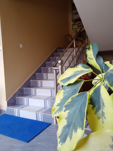 Others 5, Hotel Mirage Sauraha, Narayani
