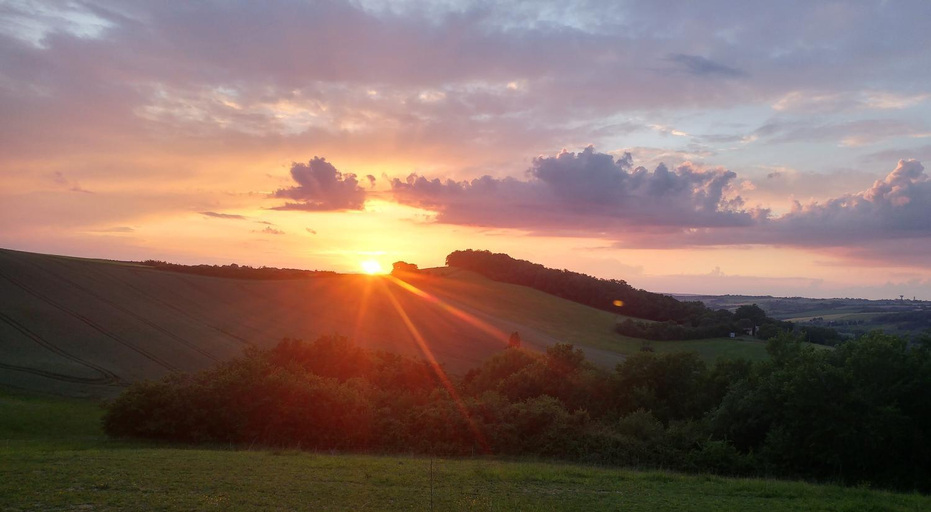 Others 2, Anes Et Logis, Haute-Garonne