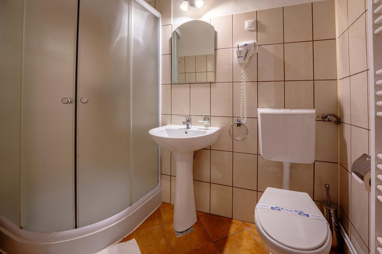 Bathroom 3, Pensiunea Bastion - La Strada -, Sighisoara
