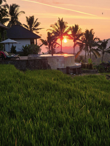 Exterior & Views 1, MAYURA BALI VILLA, Buleleng